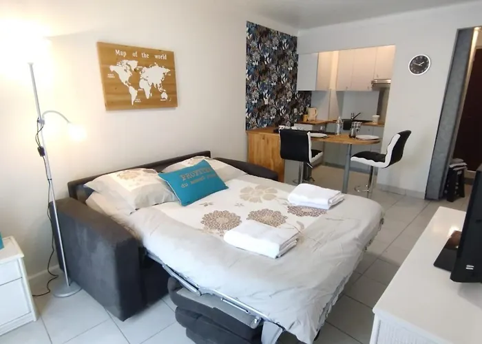 Cannes 20\' A Pieds Palais Wifi